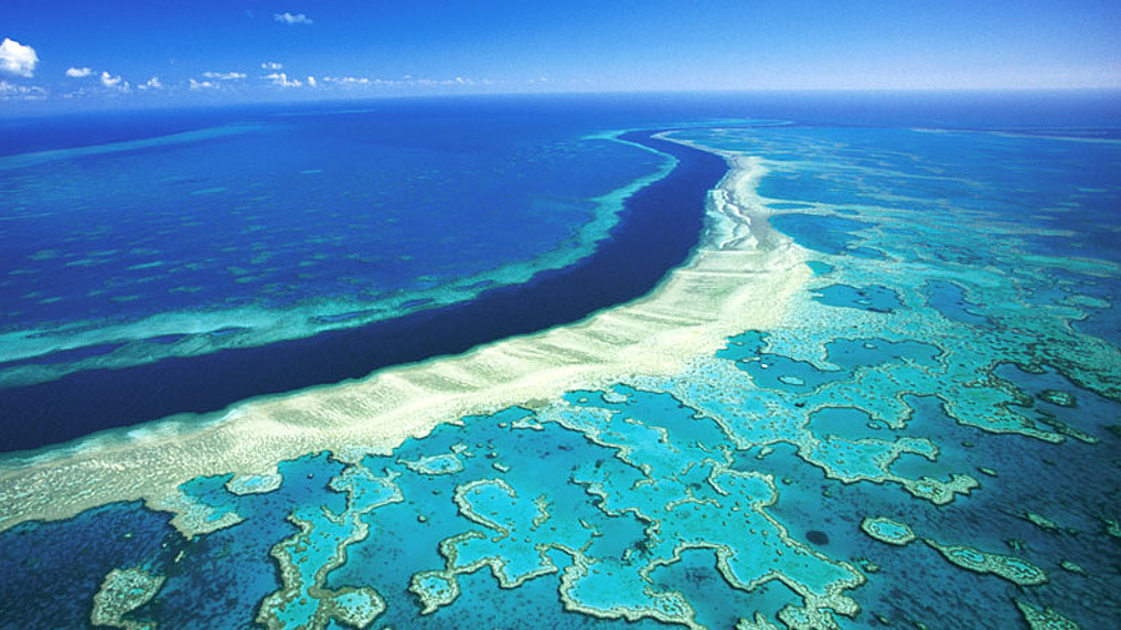 Z letadla - zdroj: coralreefs.net