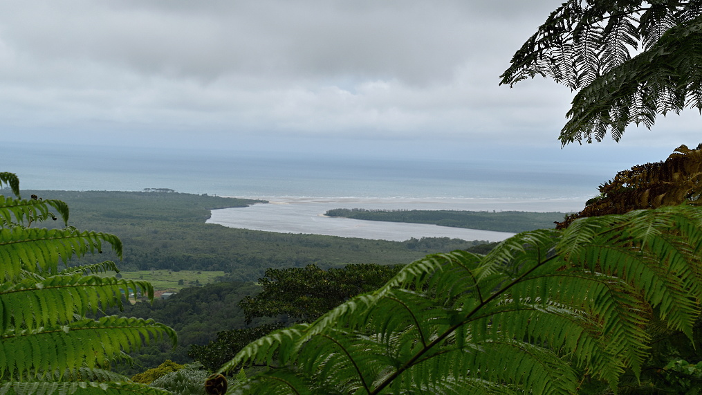Prales v NP Daintree