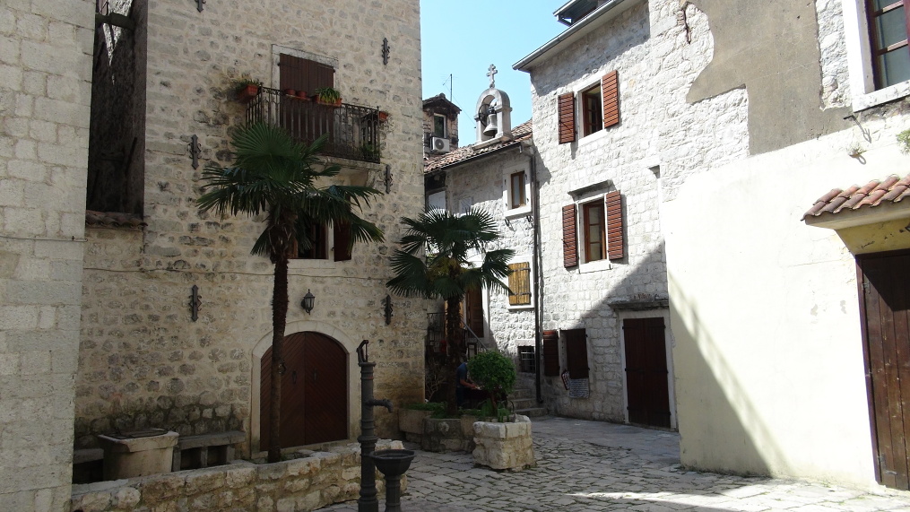 Kotor