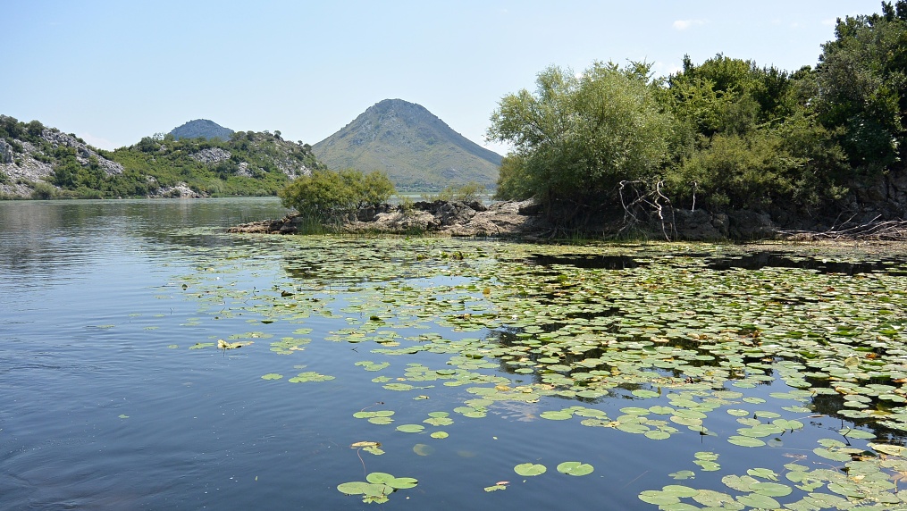Skadarské jezero
