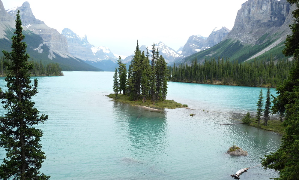 Ostrůvek Spirit v Maligne Lake, NP Jasper
