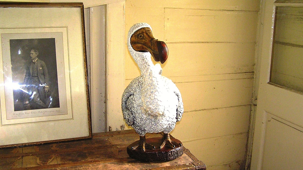 Dronte mauricijský (blboun nejap- ný) neboli Dodo