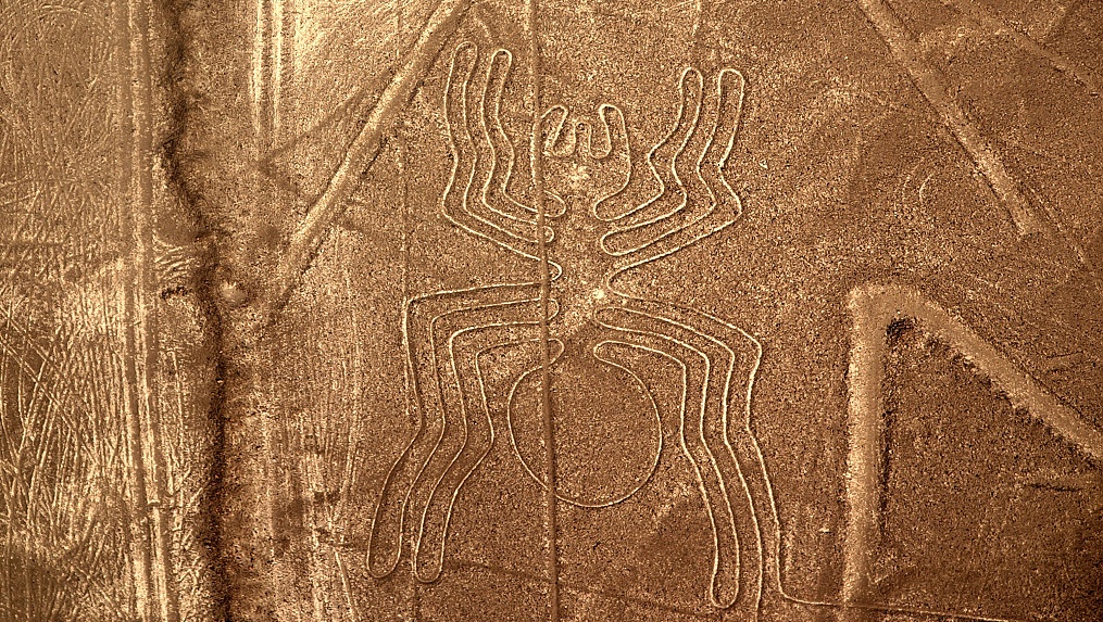 Nazca - pavouk