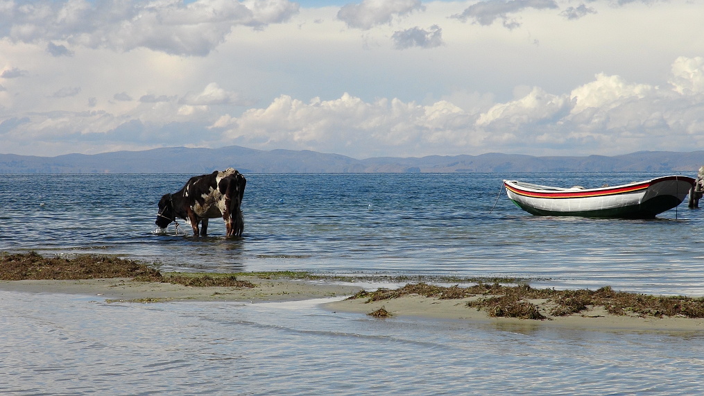 Jezero Titicaca