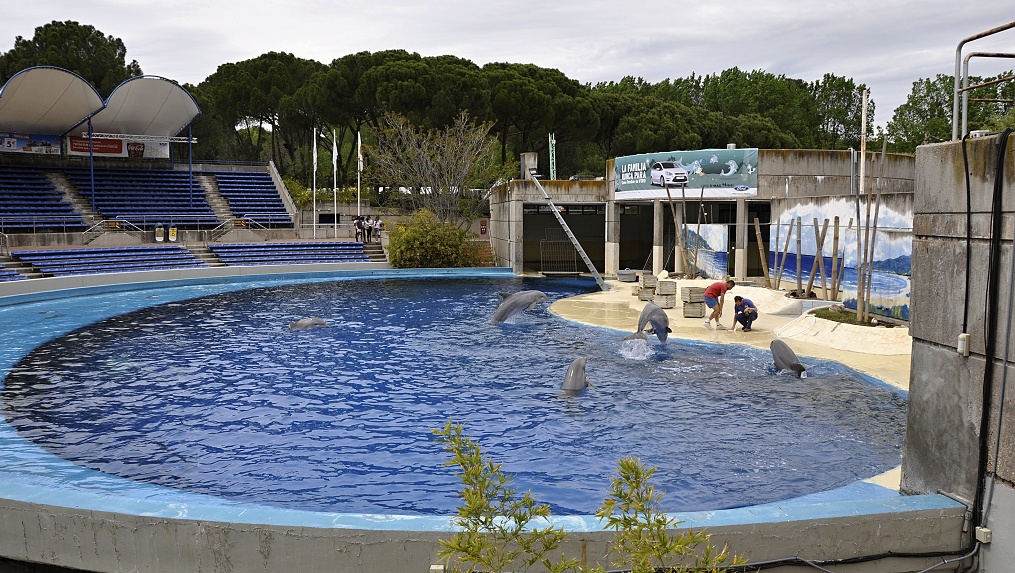 Součástí ZOO je i delfinárium